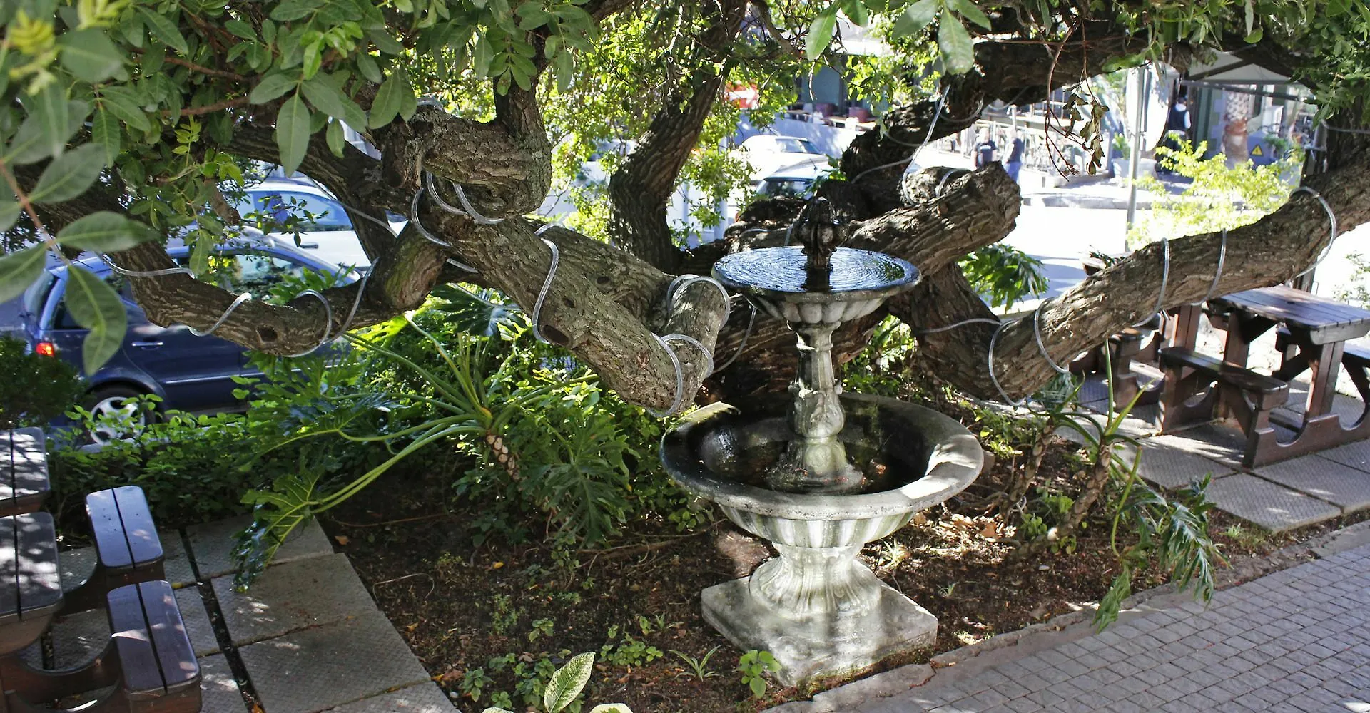 Guest house Dixon House In De Waterkant By Cape Finest Cape Town